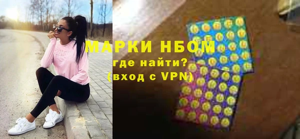 молекула духа Кулебаки