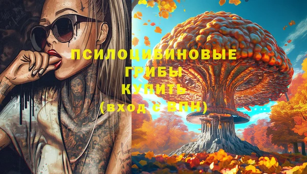 молекула духа Кулебаки