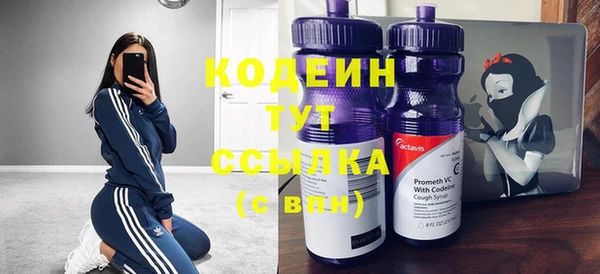 молекула духа Кулебаки