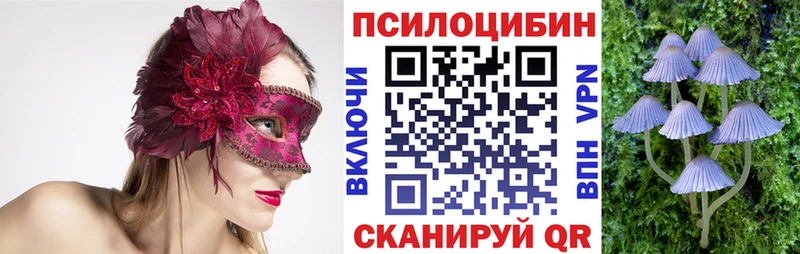 Галлюциногенные грибы Psilocybine cubensis  Купить  Злынка 
